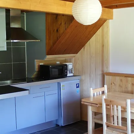 Le Saporta- Studios Et Appartements Meubles De Tourisme Le Lioran Room photo